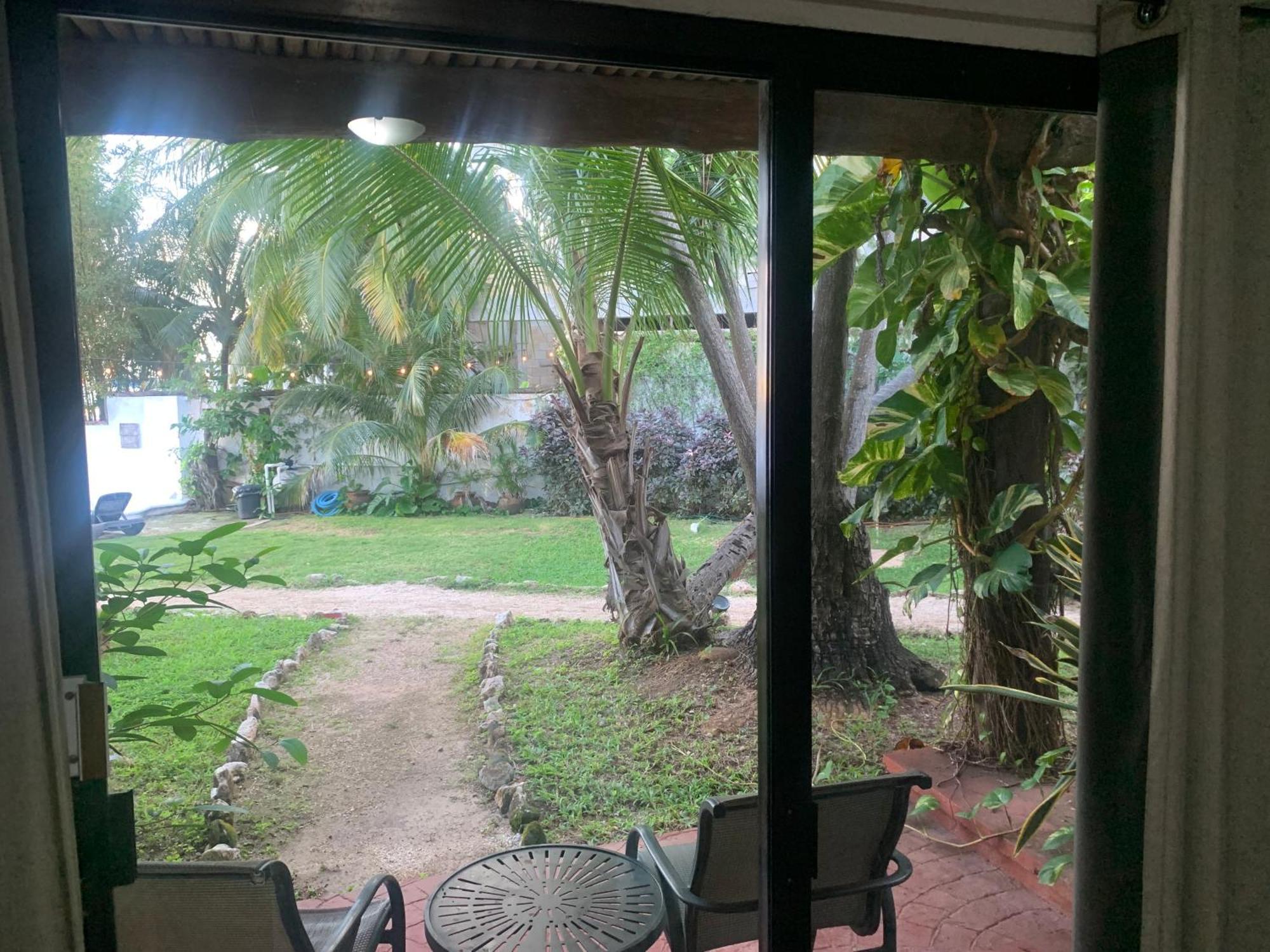 Casa Caribe Канкун Екстериор снимка View of the garden from the living room